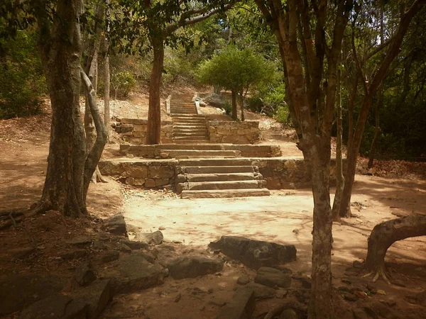 スリランカの乾燥地帯の森の石柱で作られた古代の階段 — ストック写真