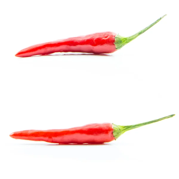 Složka čerstvé červené papričky cayenne — Stock fotografie