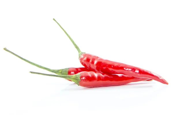 Red cayenne peppers with green branch — Stock Photo, Image