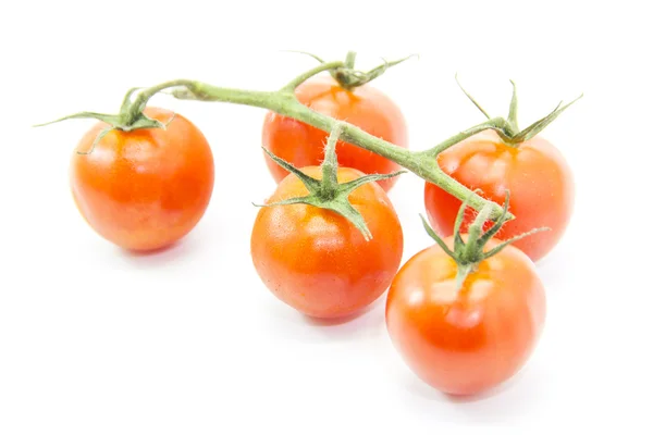 Red roma tomatoes with green branch — Stock Photo, Image