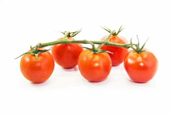 Red tomatoes with green branch — Stock Photo, Image