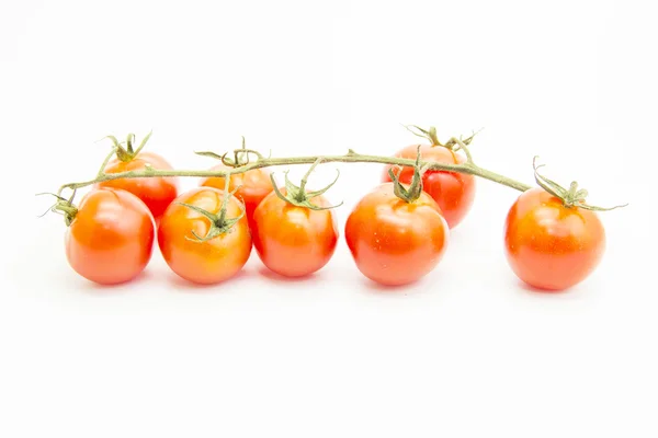 Tomaten mit grünem Zweig angeordnet — Stockfoto