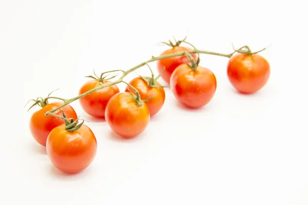 Tomatenreihe mit grünem Zweig — Stockfoto