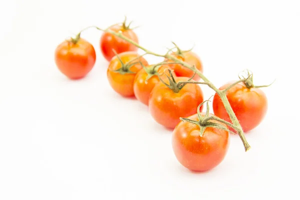 Jonge tomaten met groene branch — Stockfoto