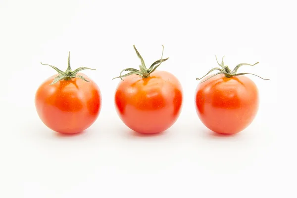 Rechte lijn tomaten met groen blad — Stockfoto