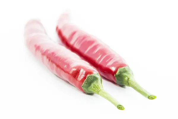 Organic red chili pepper ingredient — Stock Photo, Image