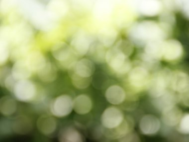 Yeşil degrade bokeh arka plan