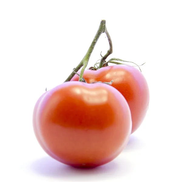 Red tomatoes with green branch — Stock Photo, Image