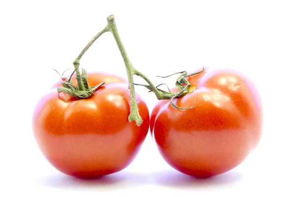 Gezonde rode tomaten met groene branch — Stockfoto