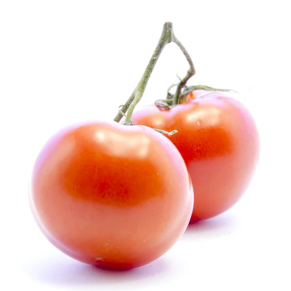 Červená rajčata s zelenou větev složkou — Stock fotografie