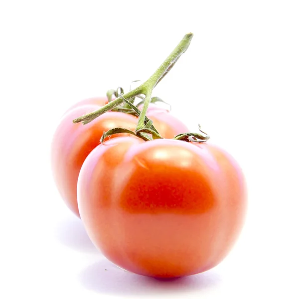 Rode tomaten met groene branch — Stockfoto