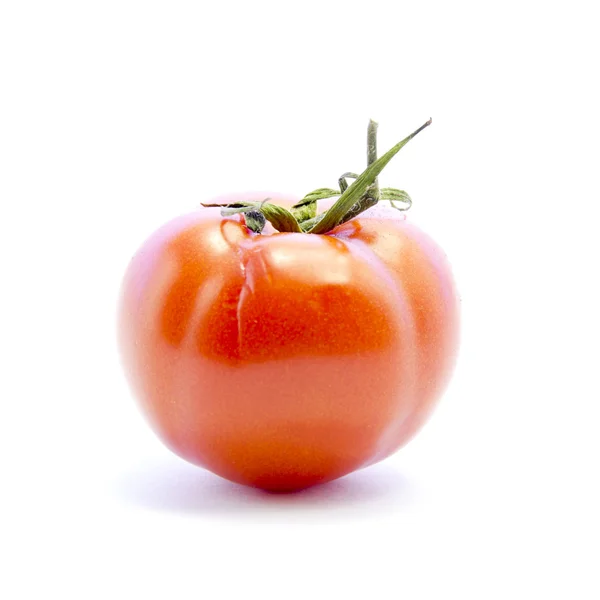 Červené rajče s zelenou tyč složkou — Stock fotografie
