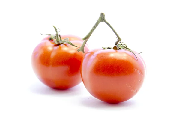 Red tomatoes with green branch — Stock Photo, Image