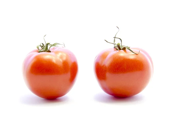 Rode tomaten met stok — Stockfoto