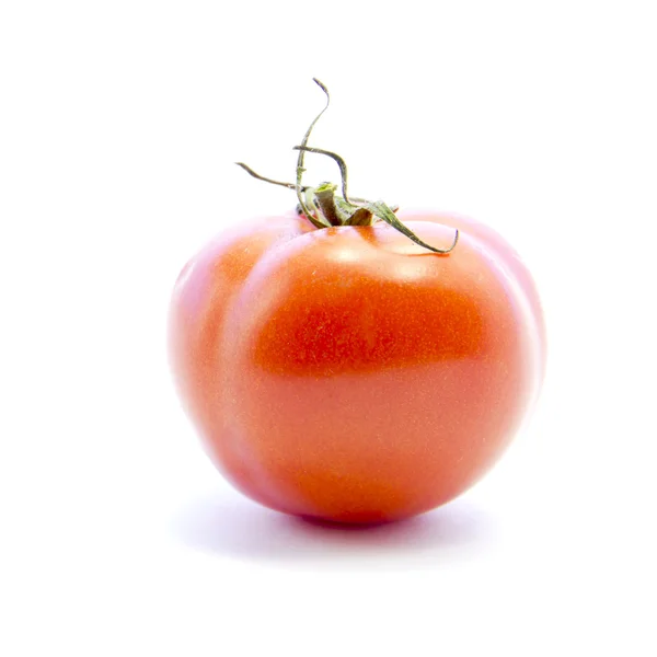 Tomat med grön pinne — Stockfoto
