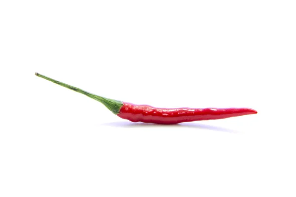 Rote Chili mit grünem Stock — Stockfoto