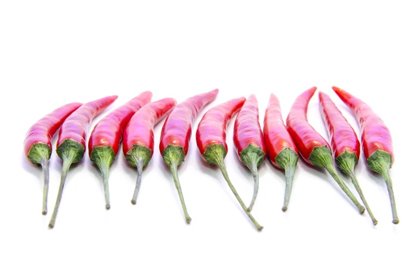Red chili peppers in straight line — Stock Photo, Image