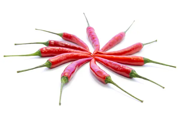 Red chili peppers explode in circle line — Stock Photo, Image