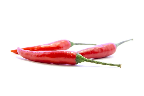 Röd chilipeppar — Stockfoto