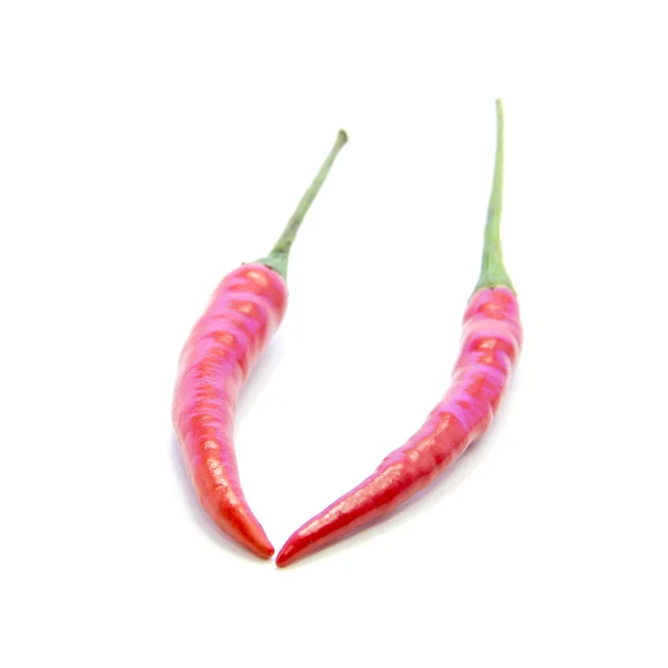 Organic red chili peppers — Stock Photo, Image