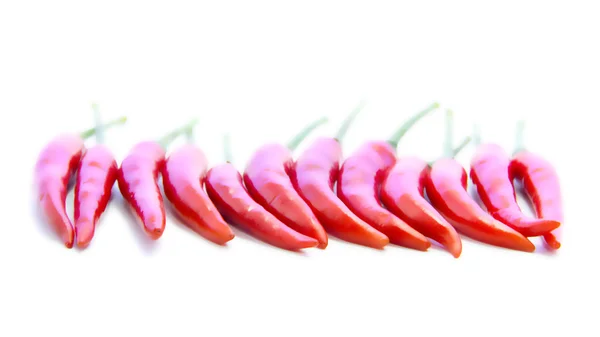 Red chili peppers in straight line — Stock Photo, Image