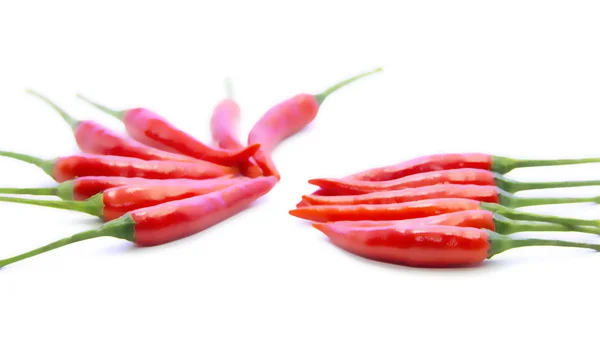 Red chili peppers arrange in line — Stock Photo, Image