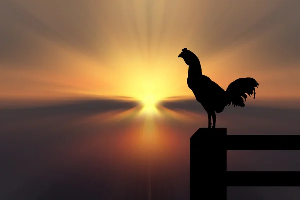 Chicken silhouette sunrise background — Stock Photo, Image