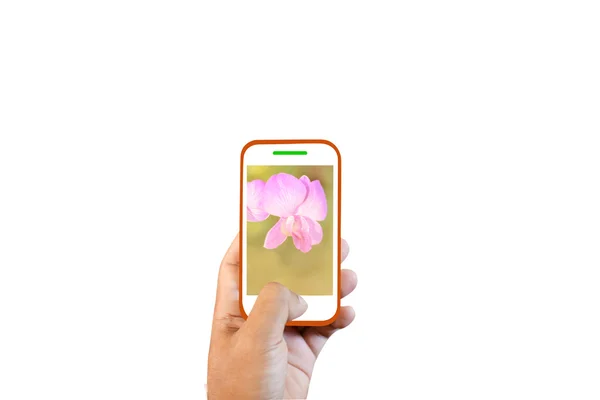 Téléphone écran fleur en main vers nous humain — Photo