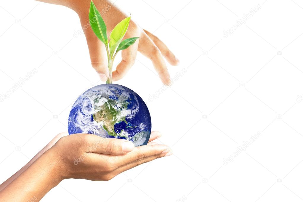 We love the world of ideas,World and tree in human hand. Elements of this image furnished by NASA.