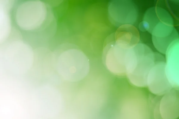 Blur Leaf bokeh background — Stock Photo, Image