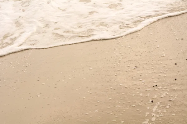 背景の浜の砂 — ストック写真