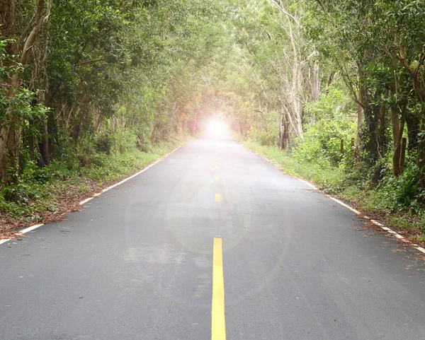 Lumière du soleil au bout du tunnel, arbres de rue . — Photo