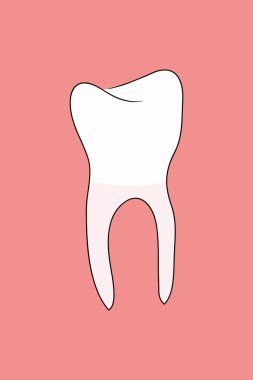 Beyaz sağlıklı diş