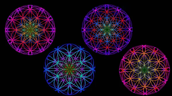 Hayatın çiçeğinden çok renkli mandalalar.