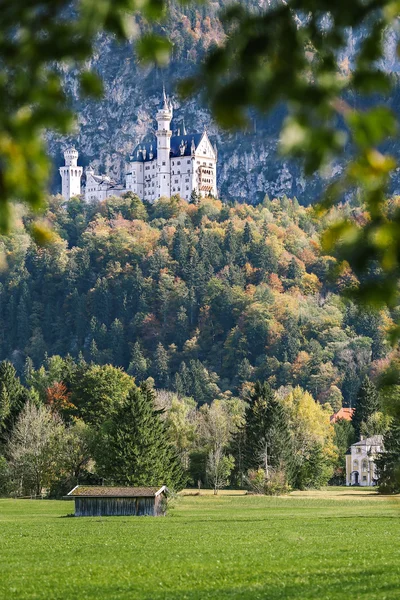 neuschwanstein Şatosu görünümünü