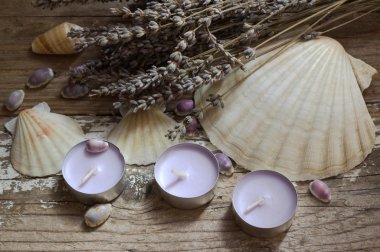 Deniz kabuklarını ve mumlar. Antika arka plan.