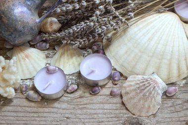 Deniz kabuklarını ve mumlar. Antika arka plan.