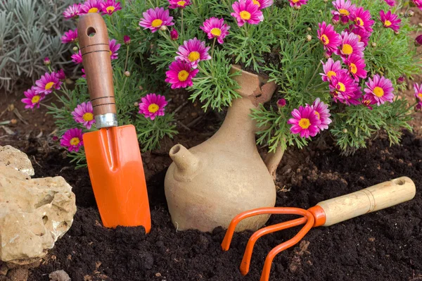 Spring flowers and garden tools. — Stock Photo, Image