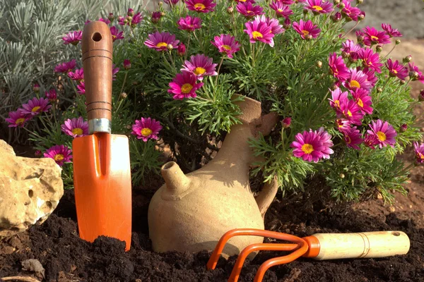 Flores de primavera y herramientas de jardín . — Foto de Stock