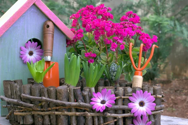 Flores de primavera, pajareras y herramientas de jardín . — Foto de Stock