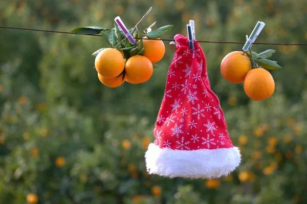 Cappello Babbo Natale e arance — Foto Stock