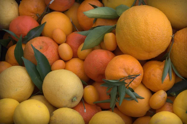 Frutta. sfondo . — Foto Stock