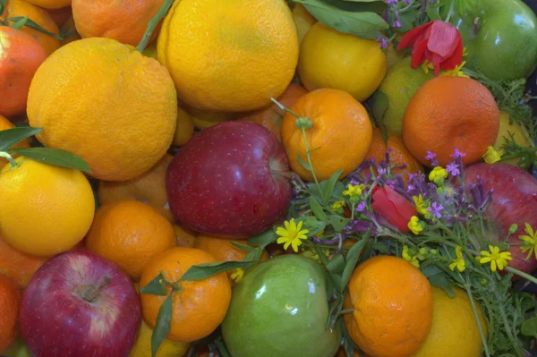 Fruit. background. — Stock Photo, Image