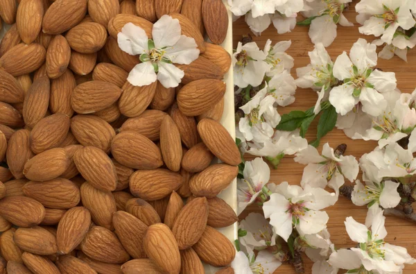 Amêndoas. Flores de amêndoa . — Fotografia de Stock