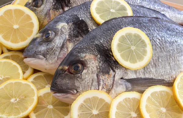 Fresh sea fish. — Stock Photo, Image