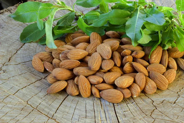 Almonds. — Stock Photo, Image