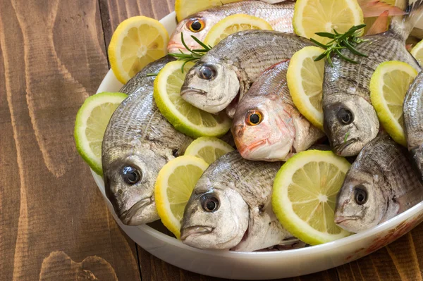 Fresh sea fish. — Stock Photo, Image