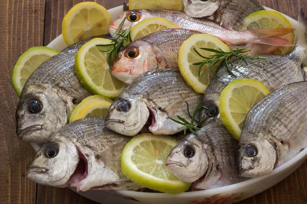 Fresh sea fish. — Stock Photo, Image