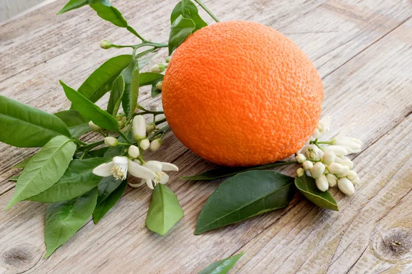 Laranja em uma tábua de madeira. — Fotografia de Stock