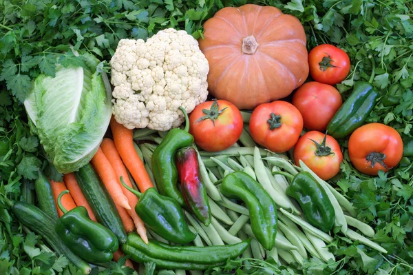 Des légumes. Aliments sains . — Photo